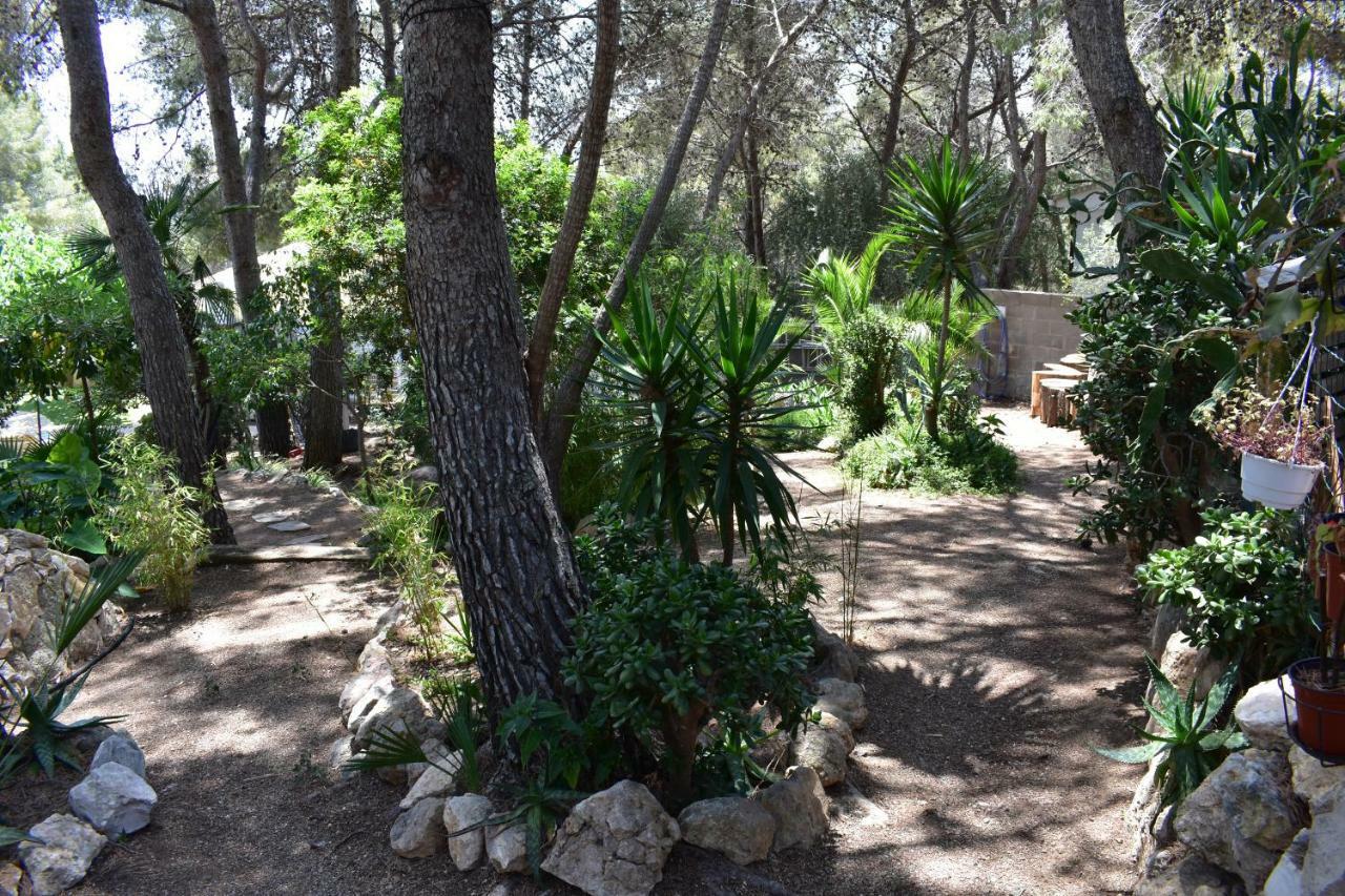 Villa Garden Tarragona Exteriér fotografie